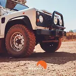 #278 Local Experience *