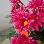 #278 Local Experience Villa Albufeira