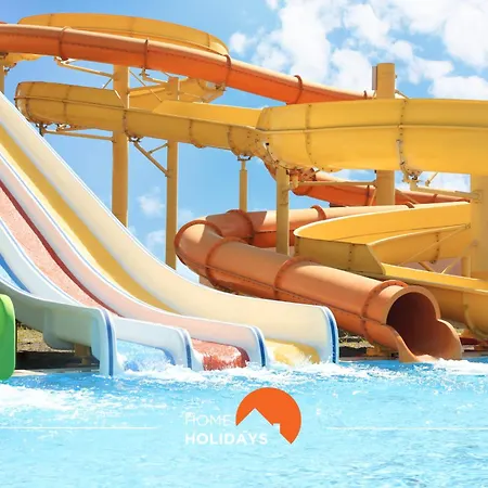 #278 Local Experience