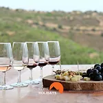 فيلة #278 Local Experience البوفيرا